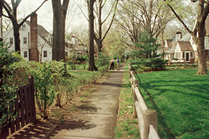 Grassy walkway and fencing